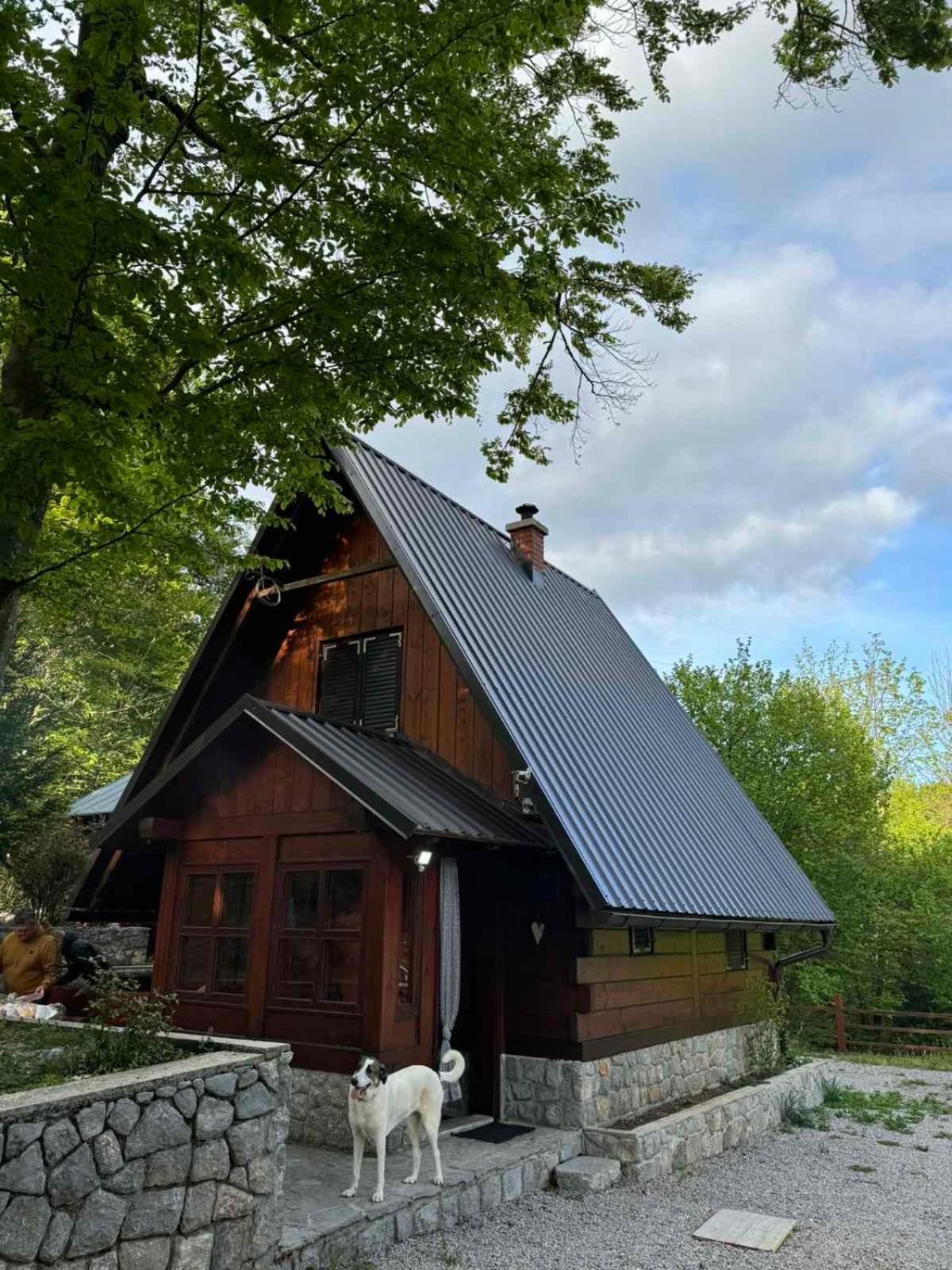 Villa Kuca Za Odmor "Med Strmci" Zlobin Exterior foto